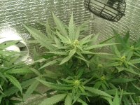 2021-04-25 01.56.26.jpg