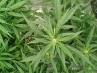 2021-04-25 01.57.00.jpg