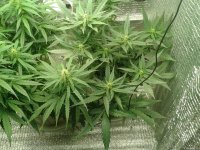 2021-04-25 01.57.25.jpg