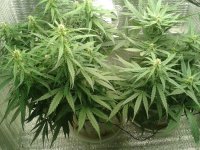 2021-04-25 01.57.53.jpg