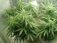 2021-04-25 01.58.12.jpg