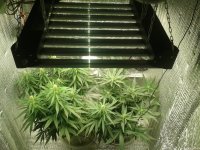 2021-04-25 02.00.14.jpg