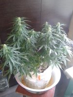 2021-04-25 15.36.59.jpg