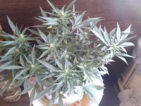 2021-04-25 16.19.04.jpg