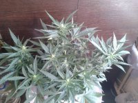 2021-04-25 16.19.30.jpg