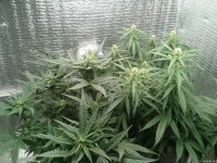 2021-04-25 16.24.09.jpg