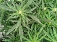 2021-04-25 16.24.28.jpg