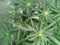 2021-04-25 16.24.43.jpg