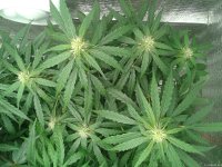 2021-04-25 16.25.28.jpg