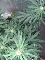 2021-04-25 16.26.00.jpg