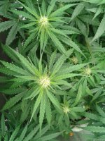 2021-04-25 16.26.28.jpg