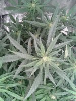 2021-04-25 16.26.56.jpg