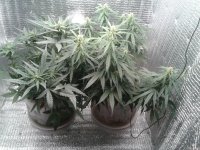 2021-04-25 16.27.26.jpg