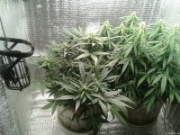 2021-04-27 17.40.49.jpg