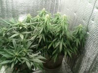 2021-04-27 17.41.05.jpg