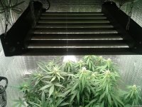 2021-04-27 17.44.43.jpg