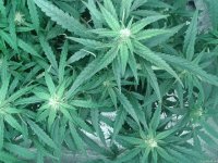 2021-04-27 17.43.08.jpg