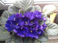 2021-04-28 17.09.02.jpg