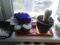 2021-04-28 17.08.49.jpg