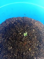 photo_2021-04-28_20-16-11 (2).jpg