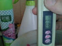 2021-04-29 13.22.26.jpg