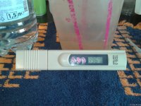 2021-04-29 13.29.20.jpg