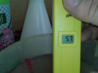 2021-04-29 13.28.23.jpg