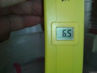 2021-04-29 13.40.14.jpg