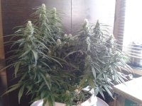 2021-04-29 13.52.52.jpg