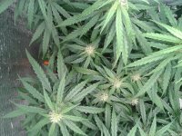 2021-04-29 14.02.01.jpg