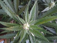 2021-04-29 13.56.08.jpg