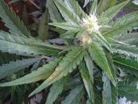 2021-04-29 13.56.24.jpg