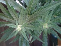 2021-04-29 13.56.43.jpg