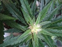 2021-04-29 13.57.06.jpg