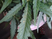 2021-04-29 13.57.42.jpg