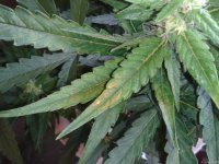 2021-04-29 13.57.52.jpg