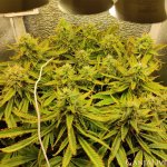 6f36b265-bbba-4d80-929d-d2160064608d.jpe