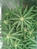 2021-04-30 01.45.02.jpg