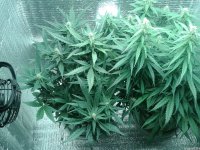 2021-04-30 01.42.52.jpg