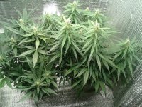 2021-04-30 01.43.05.jpg