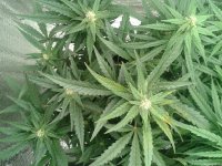 2021-04-30 01.43.30.jpg