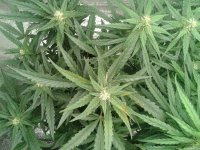 2021-04-30 01.43.42.jpg