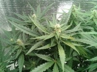 2021-04-30 01.43.57.jpg