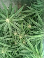 2021-04-30 01.44.42.jpg