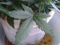 2021-04-25 16.20.28.jpg