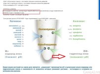 post-6967-0-81267300-1450510323 — копия.jpg