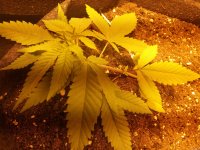 20210502_202705 — копия.jpg