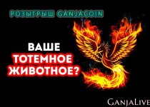 29c9b83fd4ec4f1.jpg