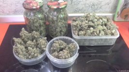 20210512_102723.jpg
