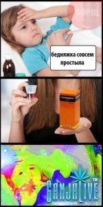 canpic1137.jpg